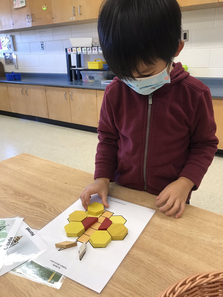 Ms.Persaud’s Falcons tweet media