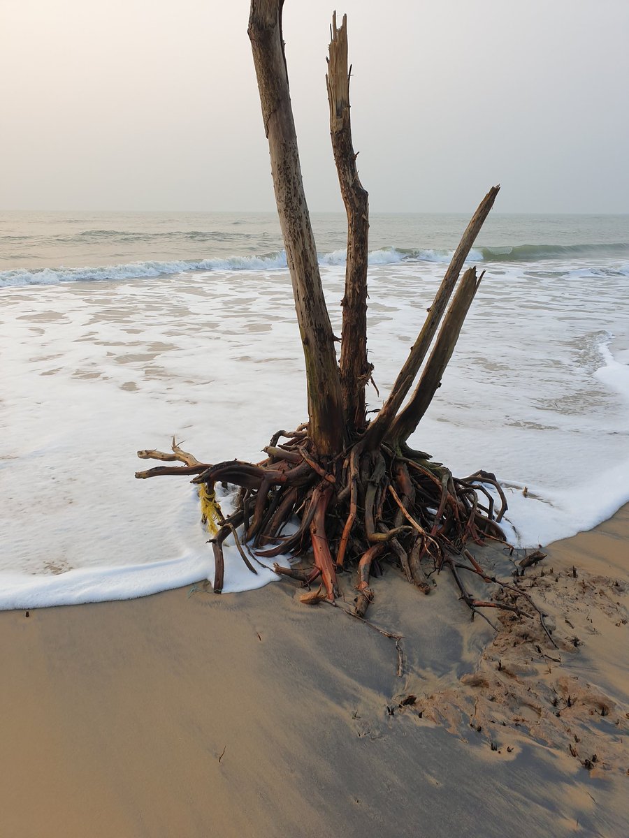 Anup_Ku_Nayak's tweet photo. Beautiful beach ⛱💙
#habalikhati 
#bhitarkanika 
#odishatourism https://t.co/9sa9ujbySh