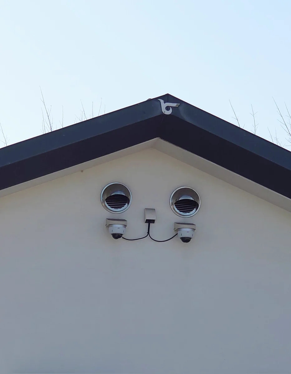とある建物の壁が…猫の顔みたいになっていてかわいい！