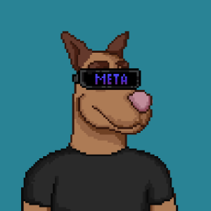 MetaPetz NFT tweet media
