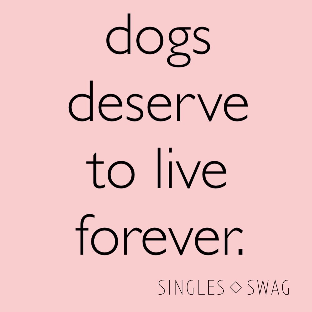 SinglesSwag (@singles_swag) on Twitter photo 