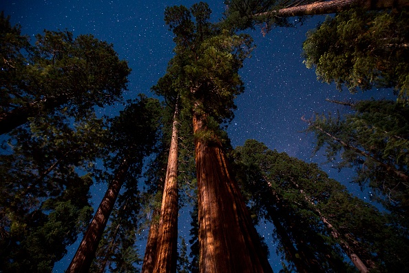 Nature World News tweet media