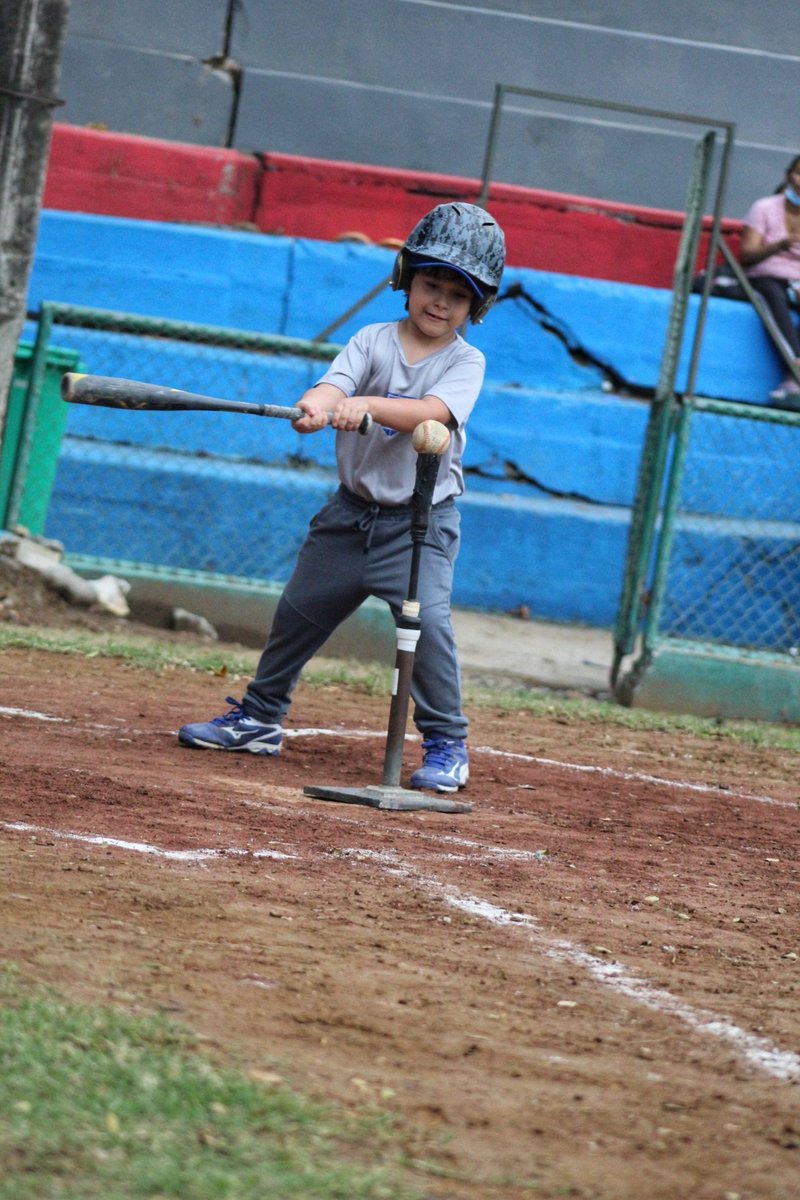 Billie_PelotonB's tweet photo. El primer partido de mi peloterito en Bombillo de @csebeisbol categoría #EscuelaB y ya se imaginarán como estuve de intensa con la 📸😅 no transmití porque ya no me alcanzaban los brazos, voy a abrir un canal sólo para él 😅 pero bueno nadie me quita lo vivido
#béisbolinfantil https://t.co/IxsM5trNBh