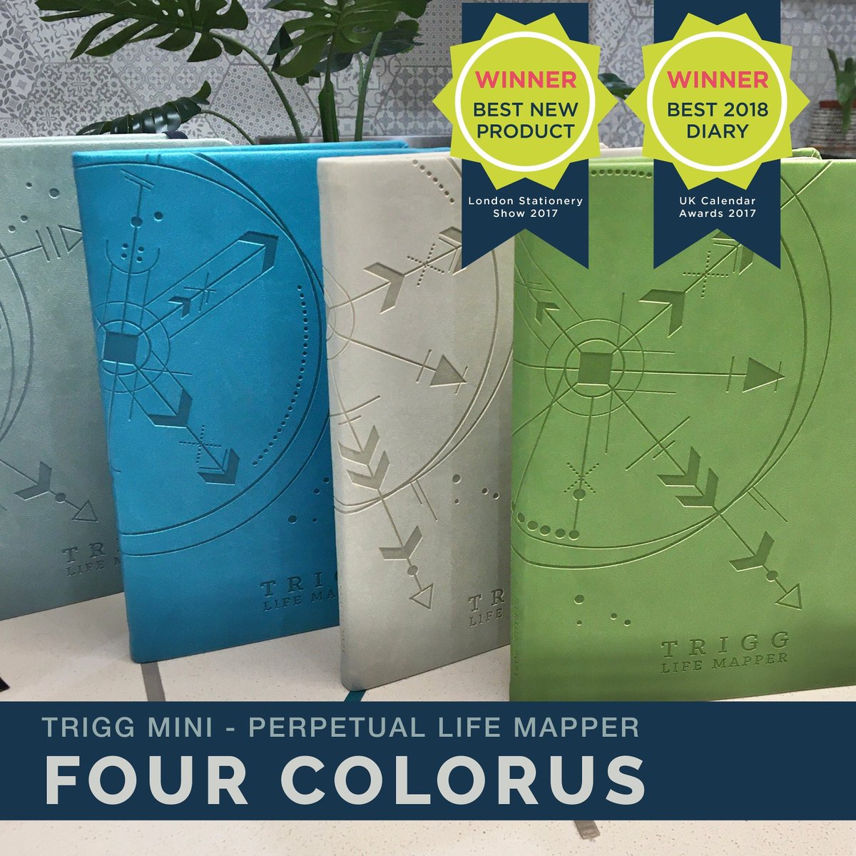 Think Trigg tweet media