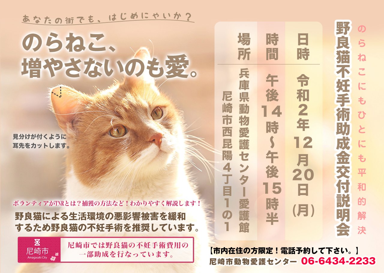 つかねこ動物愛護環境福祉事業部 12 月 14時 15時半 年間約0匹の野良猫をtnrしている ボランティアがプロジェクターで解説 実際の捕獲機とぬいぐるみを使いわかりやすくお伝え致します 予約制 尼崎市愛護センター06 6434 2233 尼崎市 市