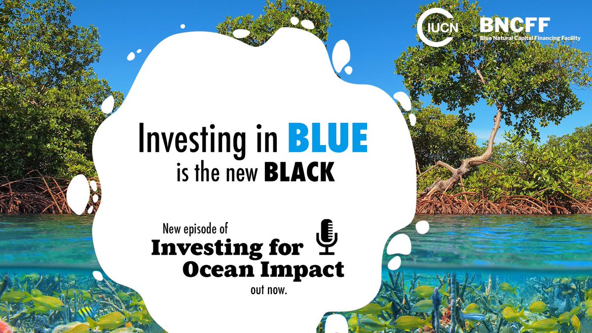 Investing in blue 💙 is the new black!

More investors are looking to create positive IMPACT for our ocean 🌊 alongside financial returns. People working on the ground are looking for funds. A match made in heaven?

FIND OUT 🎙️➡️ smarturl.it/oceanimpactpod…

#InvestingForOceanImpact