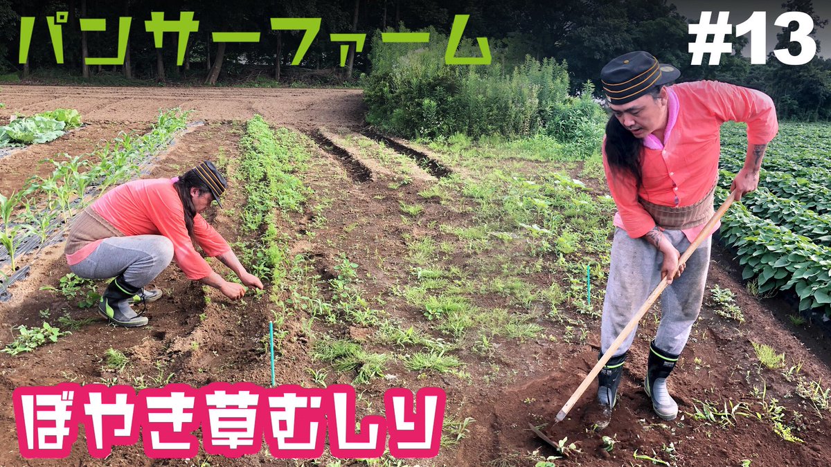pantherfarm2021's tweet photo. パンサーファームYouTube 
本気の草むしり動画です！

#13 ぼやき草むしり
https://t.co/ZYZXQrkGHx

のんびりお付き合いください^_^

#パンサーファーム 
#家庭菜園
#先生に感謝
#草むしり
#農場長の独り言
#MAVERICK
#dangercrew https://t.co/liXWvH7NxZ