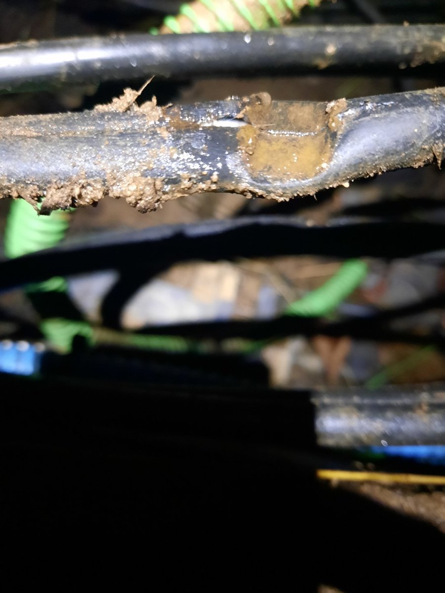 Nouvelle intervention de la Boucle Locale Charente hier sur le Nord Charente suite à un dommage Réseau sur la Fibre 
#UISO #NouvelleAquitaine , un grand merci à Xavier , Damien , Alvin et Léo.👍