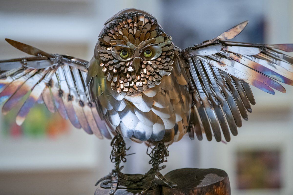 leicestermuseum's tweet photo. Congratulations to Steve Sawbridge winner of the @CurveLeicester prize as part of the #Open32 exhibition!
See his stunning Owl in this years Open exhibition - showcasing creativity from across the #EastMidlands on now until 21 January! #leicester https://t.co/IhNf2A8jNU https://t.co/Mt01AVEWcU