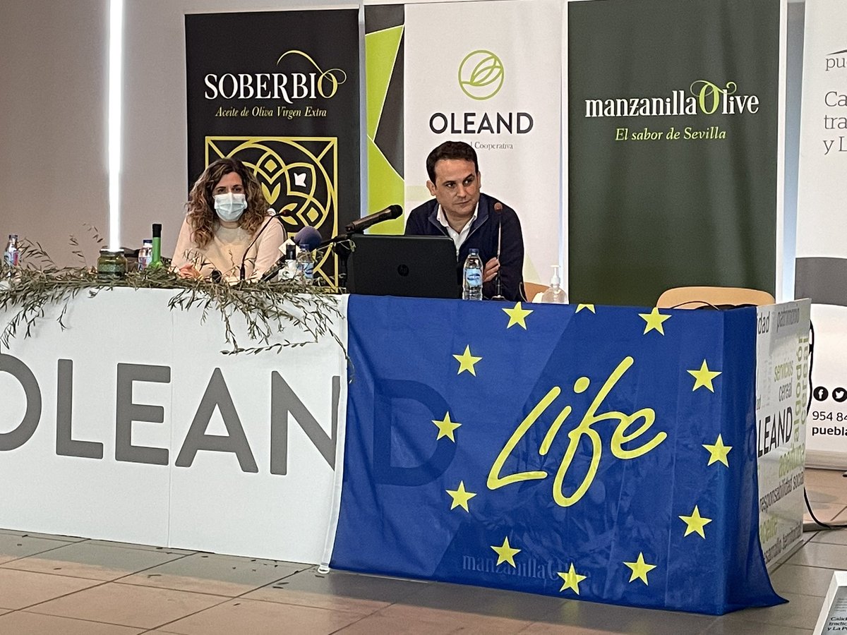 LifeSolieva's tweet photo. ⭕️ #estapasando | Inauguración de la Jornada Final del proyecto #LifeSoliva en #sevilla a cargo de @Eurecat_news y @OleandCoop; y proyección del vídeo divulgativo disoonible en https://t.co/g1qArYlkGb.  

📽 Podéis seguir la jornada en #streaming👉https://t.co/c8GSC2B9gp https://t.co/S44dOA9oZc