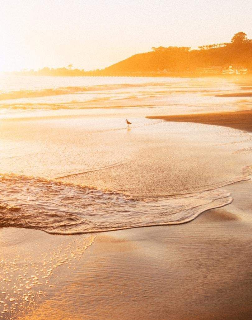 وتشرقُ فِي الحنايا ألفُ شمسٍ
تنيــرُ الـروحَ ، تملؤها سـعادةْ
وتخبــرها بــأنَّ الخيـرَ آتٍ
كما يرجو فؤادُك ، بلْ زيادةْ