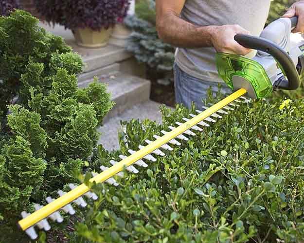thinkandfind's tweet photo. Best cordless hedge trimmer
https://t.co/AGLBHuEhpS https://t.co/flBFnQyQdR