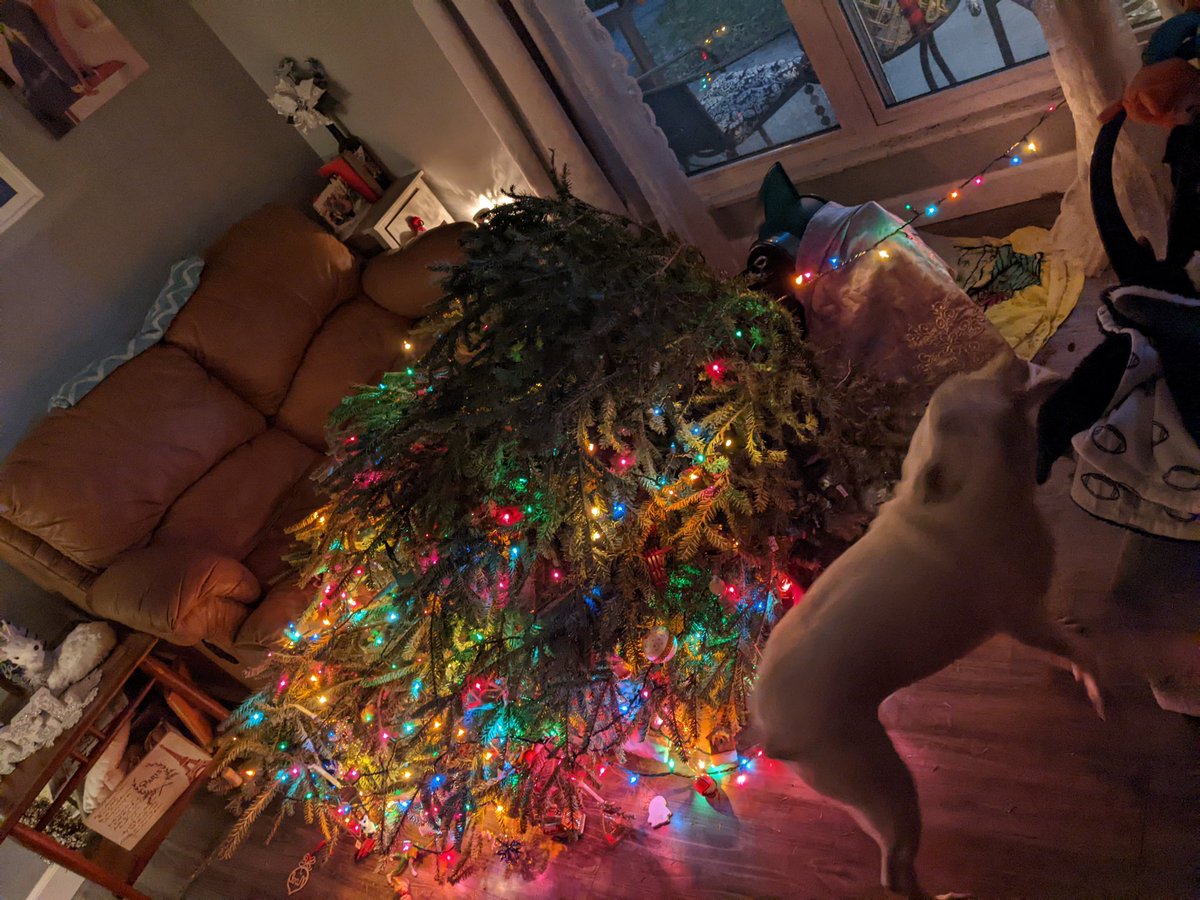 BrownzPowerRNGR's tweet photo. Decisions were made here...#ChristmasTreeFail🎄 https://t.co/w0QoHahpAW