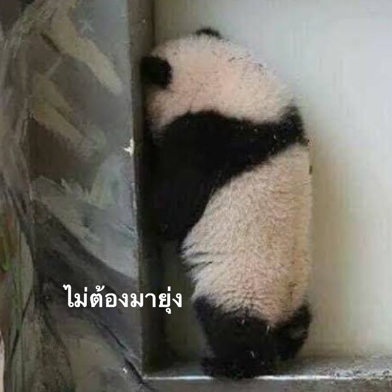 เวลาโกรธก็โกรธจริงๆนะ แบบโกรธเลย โกรธจริง