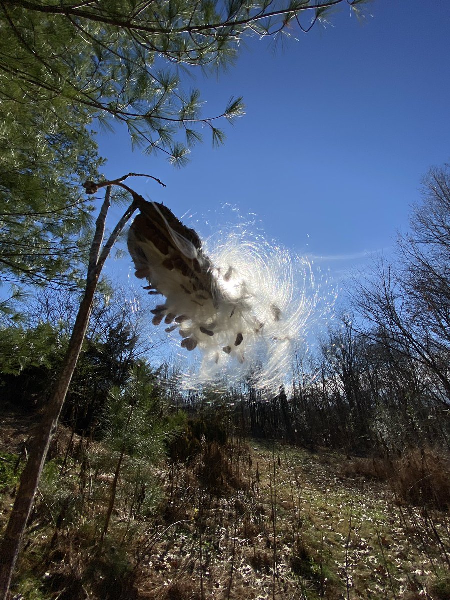 #CherRocks🌈🥰💙👄SawyerFrdrxrocks. BOY GEORGE👄 tweet media