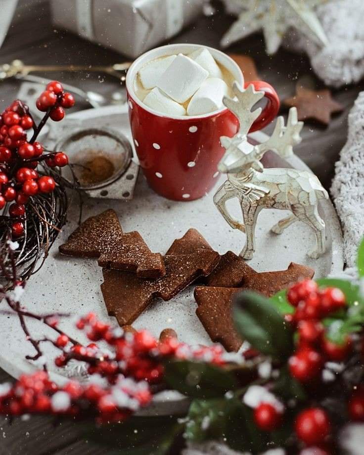 EleniMenni's tweet photo. @wynny1g Good evening Lyn I am very glad that his book and the perfume have reached you. I'm waiting for them here on Christmas Eve... Good recovery from surgery. You'll read it later. Lots of kisses and a big hug from me 😚😚😚sent all my love ❤️ ❤️ ❤️ ❤️ ❤️ https://t.co/Yvblb4gbt0