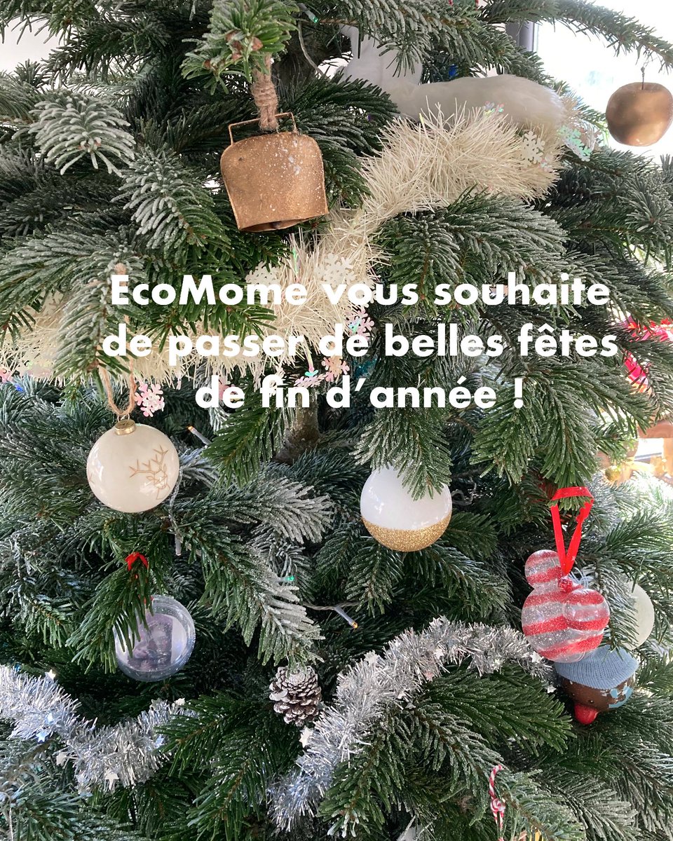 ecomome_fr's tweet photo. Bonnes fêtes de fin d'année 🎅✨💝☃️🎄
#coucheslavables #couchelavable https://t.co/EHgldSFVU2
