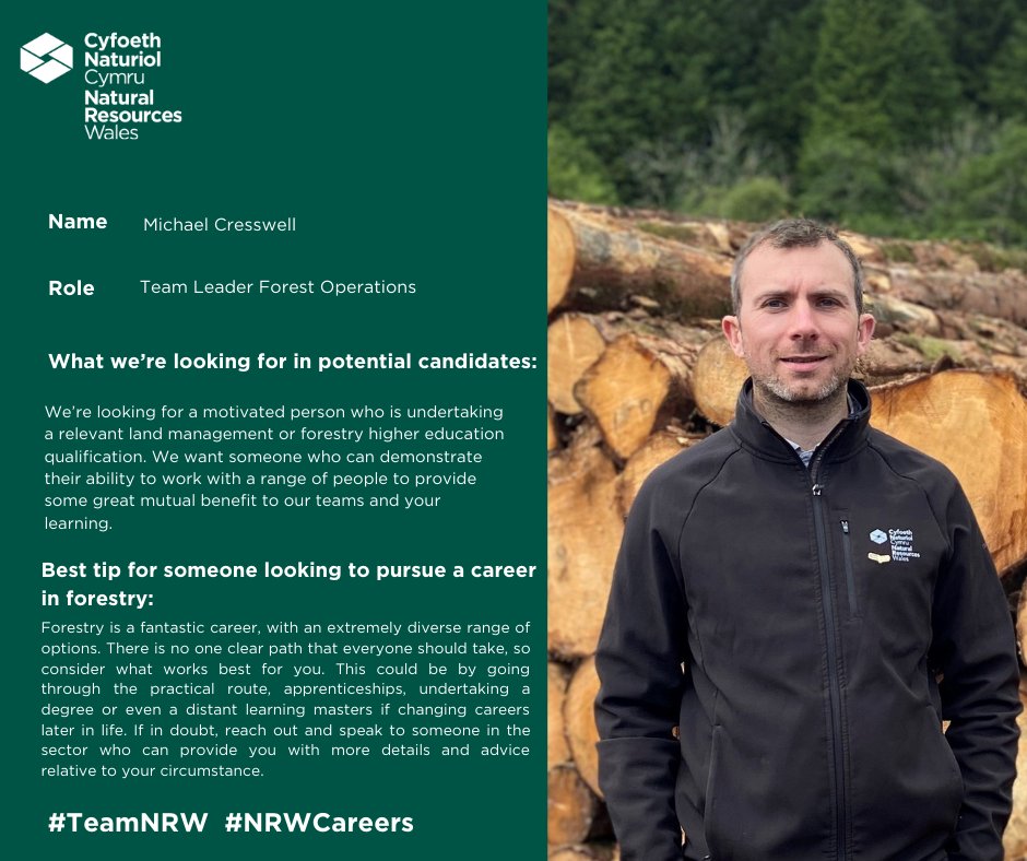 NatResWales's tweet photo. 📣 Calling all forestry students! We’re excited to offer 4 paid placement opportunities for a year starting next September working alongside our dedicated &amp; experienced team of professional foresters in mid &amp; south Wales.

Interested? More info here 👉 https://t.co/M37Ikd42bk https://t.co/jSi3pxFcVe