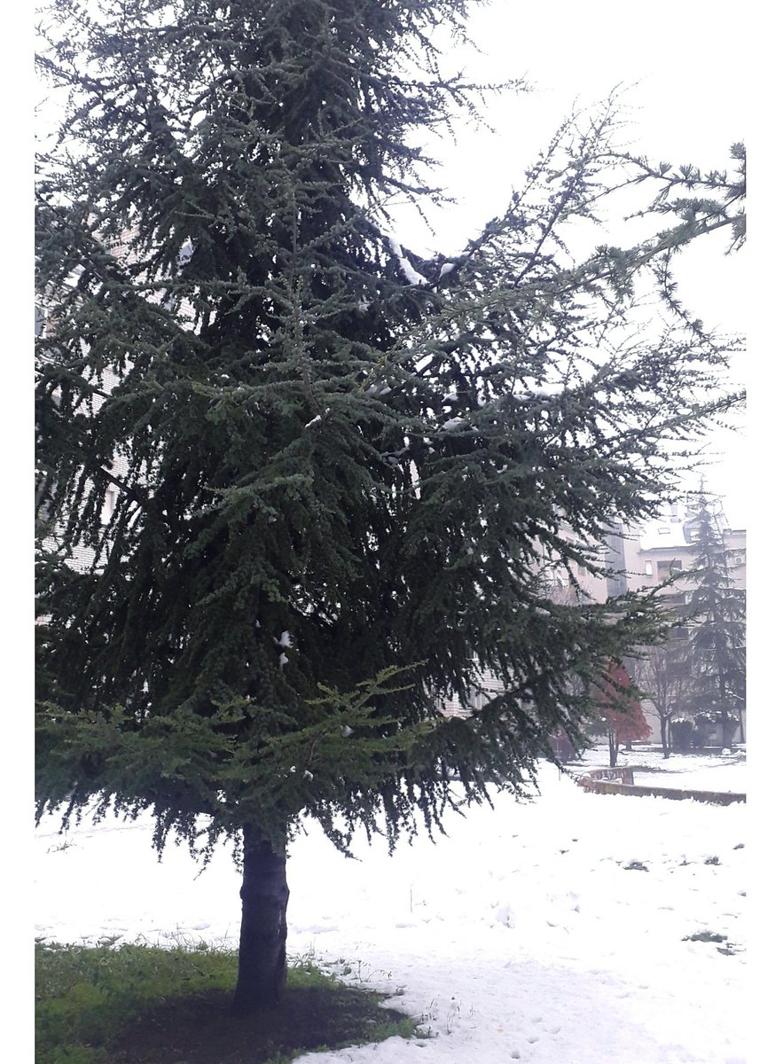 NellyMonk1's tweet photo. Winter morning π²β
Its very cold today and I can feel the frost around me, but just love this fresh air π¬
So many musical projects is ahaid and I cant wait to share more πΌ
#winterdays #winteroutfit #winterishere #coldmorning #gingergirlsofinstagram #wednesdaymood #lovewinter https://t.co/8mkS2zC4Zg