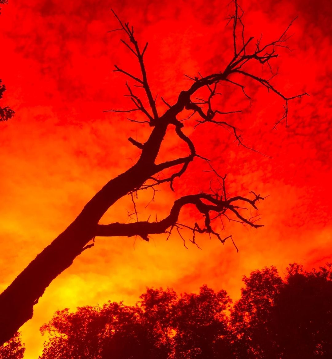 Halil Cibran‘’Ermişin Bahçesi’’(İş Bankası Kültür Yayınları, 2016)
Ey kavmim
''Ey kavmim, sen ki peygamberlerini bile dinlemedin beni hiç dinlemezsin.
Dönüp de bakmazsın ölülerine. 
"I will never know how you see red and you will never know how I see it."
instagram.com/p/CXfx133ufGM/