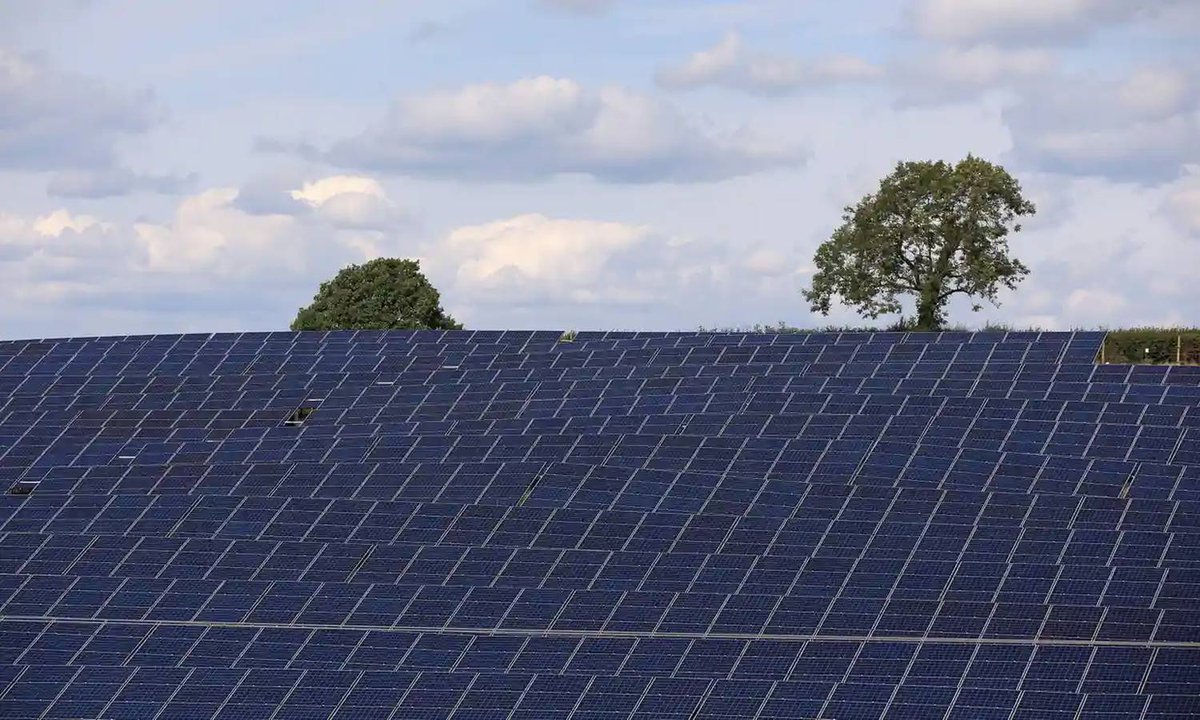 NavitasSolar's tweet photo. Solar parks could provide habitats for wildlife β and particularly bumblebees...
β‘οΈ https://t.co/sJUheeY9B0
π‘ Speak to the Navitas team to find your solar solution.
https://t.co/bjisNfix0a
#makingsenseofsolar
#photovoltaic #photovoltaics #photovoltaicenergy https://t.co/pfsStOKsto