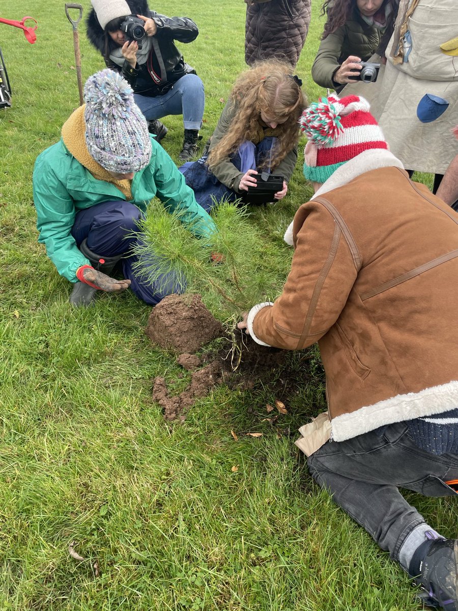 GrapevineMel's tweet photo. @Coventry2021 @WalkingForest4 @JoinTheSeason_ @HeritageFundUK We planted the ‘radical sisters’ - @FromEveryAngle gently separating the roots to encourage growth in this pic - #walkingforest has been truly amazing. Thank you @WalkingForest4 @Coventry2021 @amandarobs #greenfutures https://t.co/qsrc3OKekA