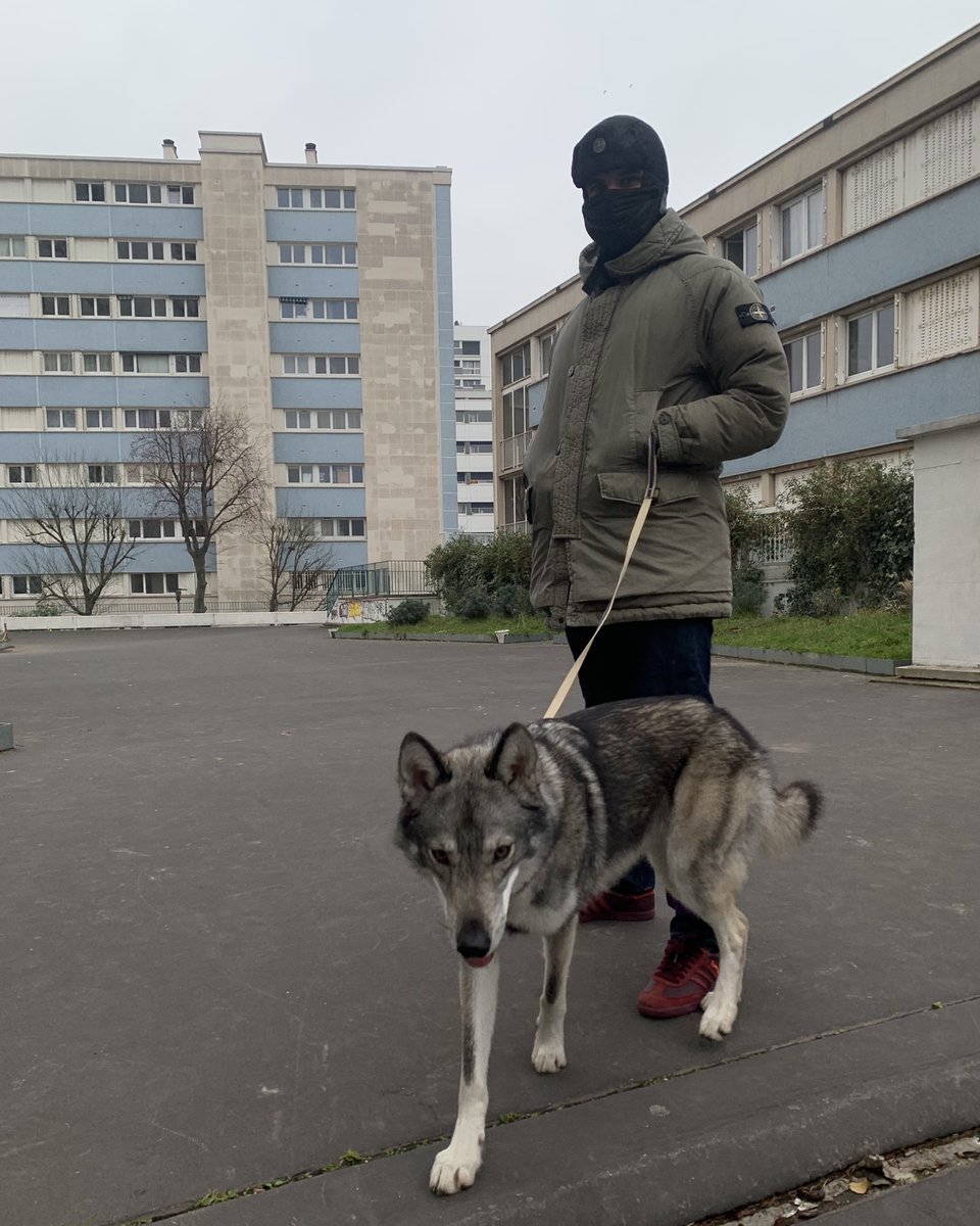 PopupStone's tweet photo. 🐺 https://t.co/gRCI5iuvBm