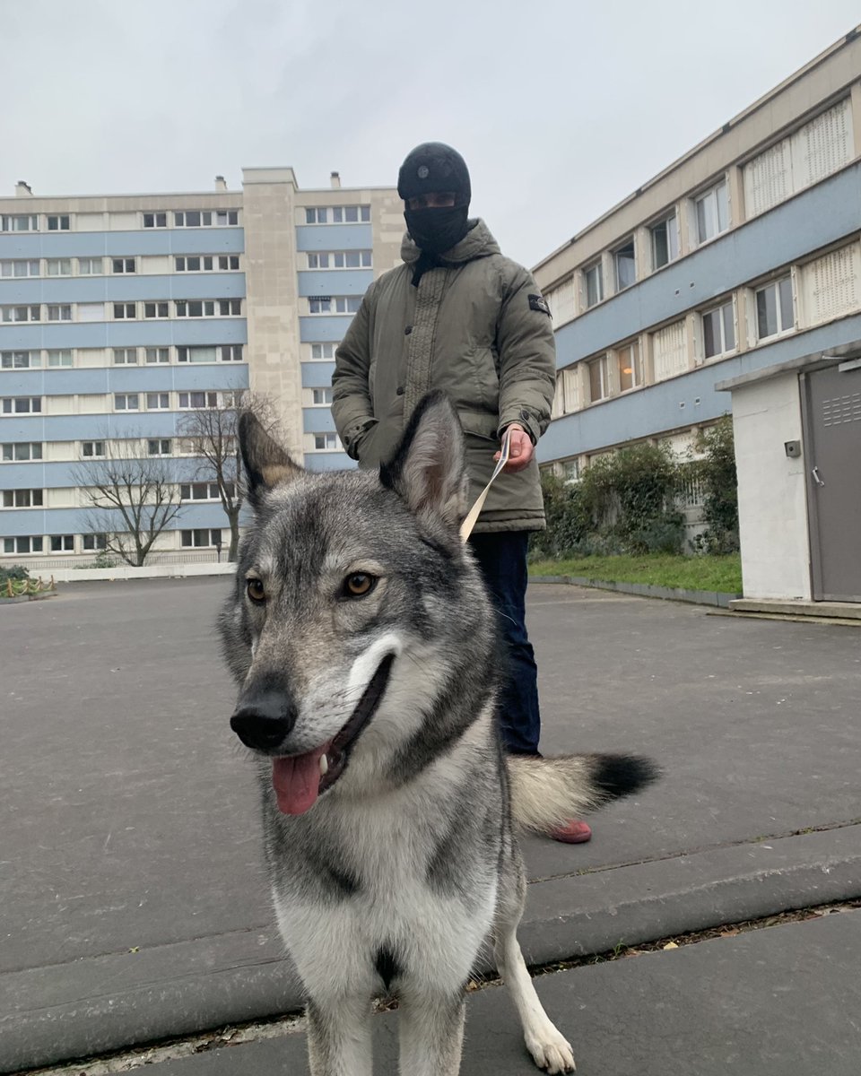 PopupStone's tweet photo. 🐺 https://t.co/gRCI5iuvBm