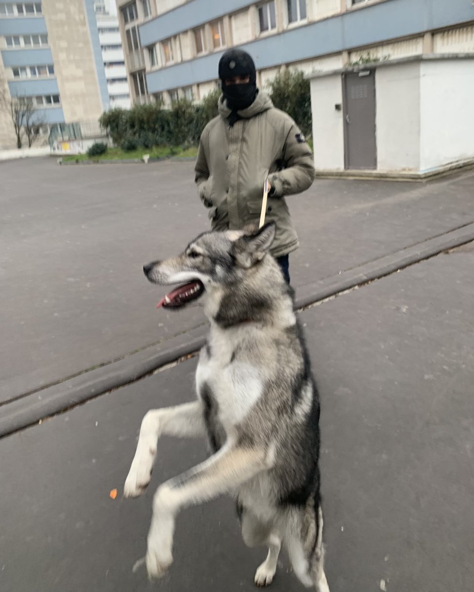 PopupStone's tweet photo. 🐺 https://t.co/gRCI5iuvBm