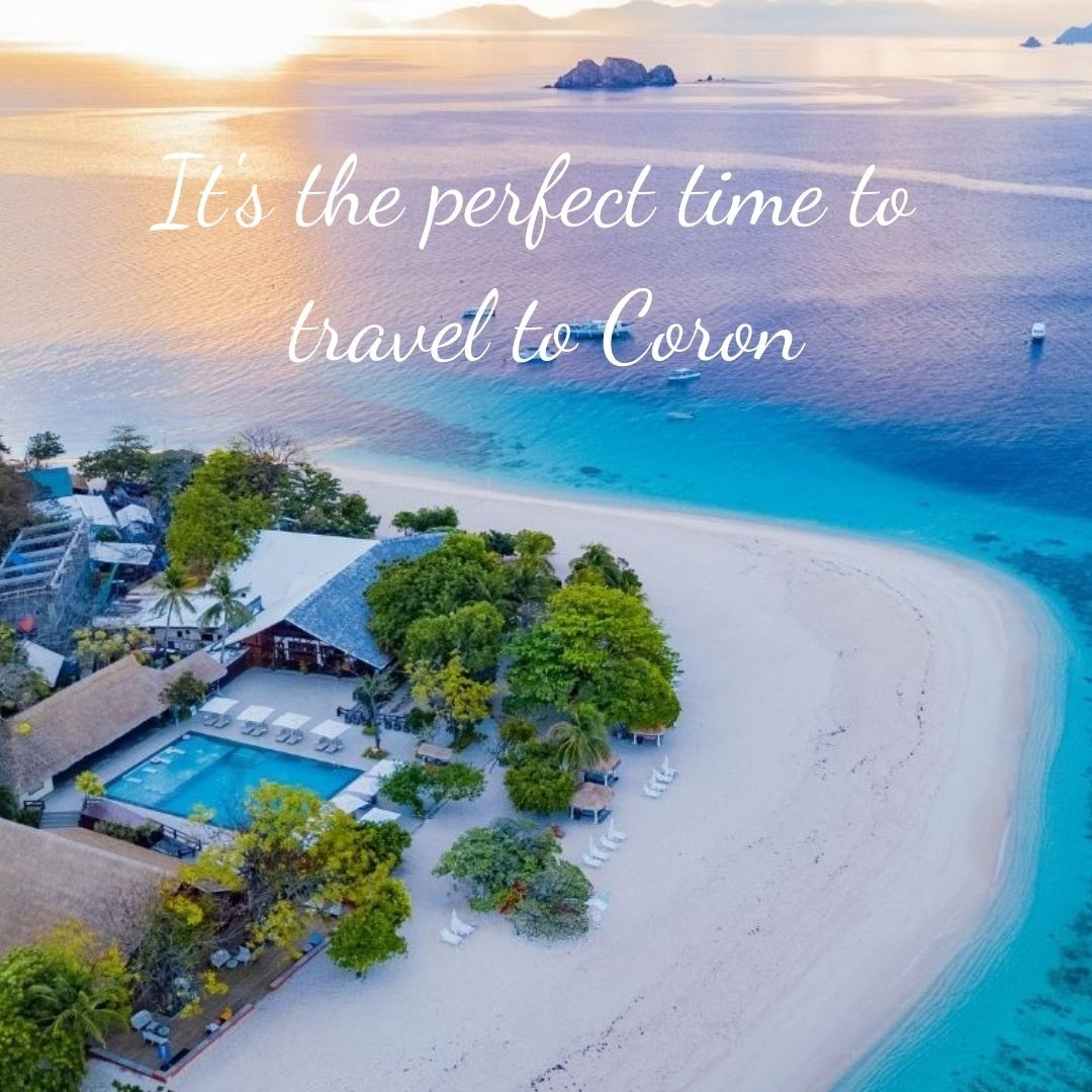 Club Paradise Palawan tweet media