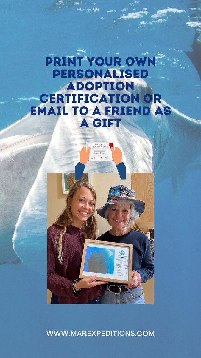 MarExpeditions's tweet photo. Just 10 more days until Christmas 🎄! If you are looking for a meaningful gift that supports ocean conservation, why not adopt a manta ray? ☺️ https://t.co/Rg8Bx9giKB
