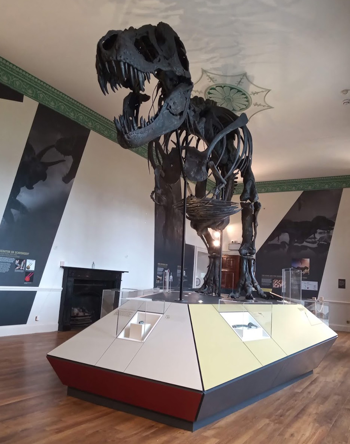 Geological Collections Group (GCG) tweet media