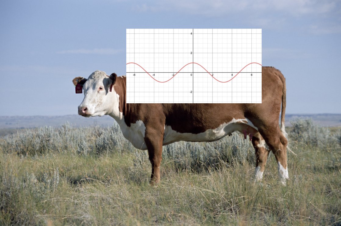 howie_hua's tweet image. You've heard of elf on the shelf but have you heard of