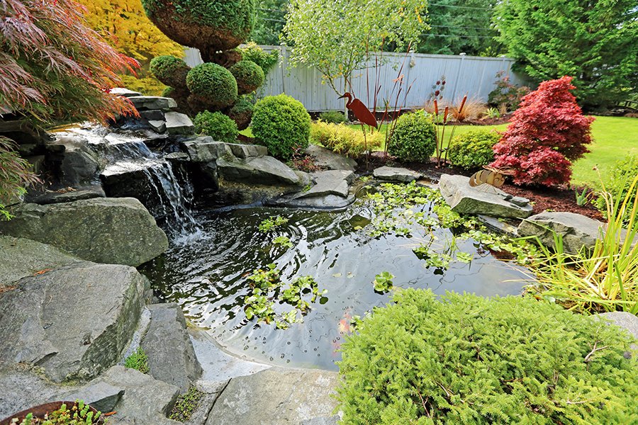 FiveSTARlandsca's tweet photo. FiveSTAR Landscape Design is the leading provider of landscape design services. Based in Fair Oaks, we provide a full range of outdoor living spaces for your home that are customized to meet all needs. Visit https://t.co/9NPmmXEOt1. #landscapingcontractorsinsacramento https://t.co/oCVlsQLi6W