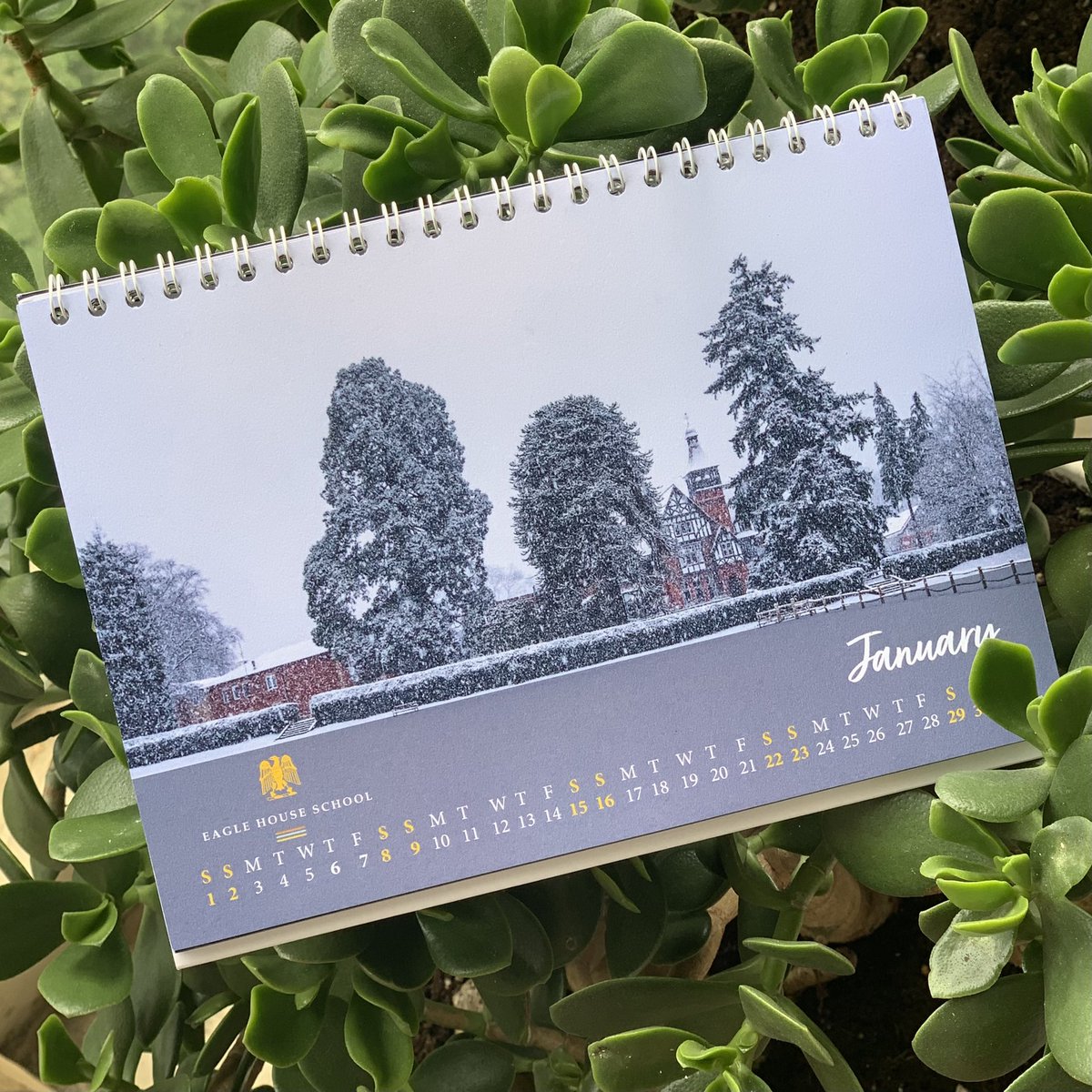 ukschoolsguide's tweet photo. @EagleHouseSch @EagleHousePP Thank you the wonderful calendar with some breathtaking photos of your school &amp; a very festive Xmas card draw by one of your talented students. Ours students are looking forward to joining your amazing school in Sept. Have a wonderful holiday break 🎄 https://t.co/mpkTj25der