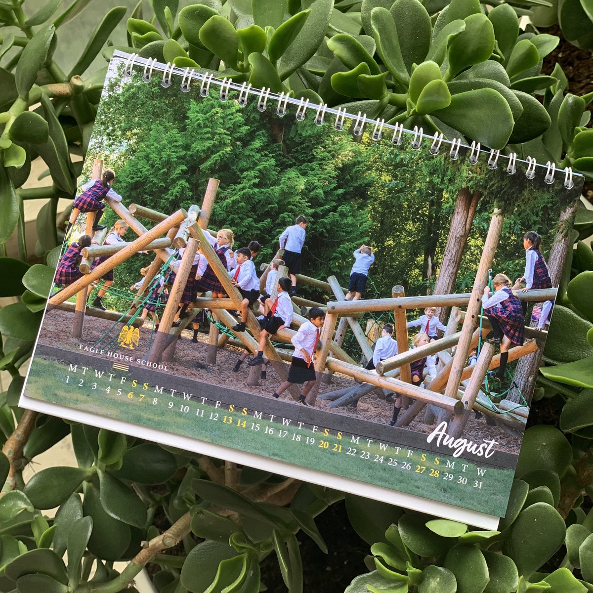 ukschoolsguide's tweet photo. @EagleHouseSch @EagleHousePP Thank you the wonderful calendar with some breathtaking photos of your school &amp; a very festive Xmas card draw by one of your talented students. Ours students are looking forward to joining your amazing school in Sept. Have a wonderful holiday break 🎄 https://t.co/mpkTj25der