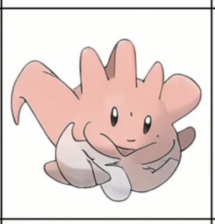 Tyero 🐝🧀 tweet media