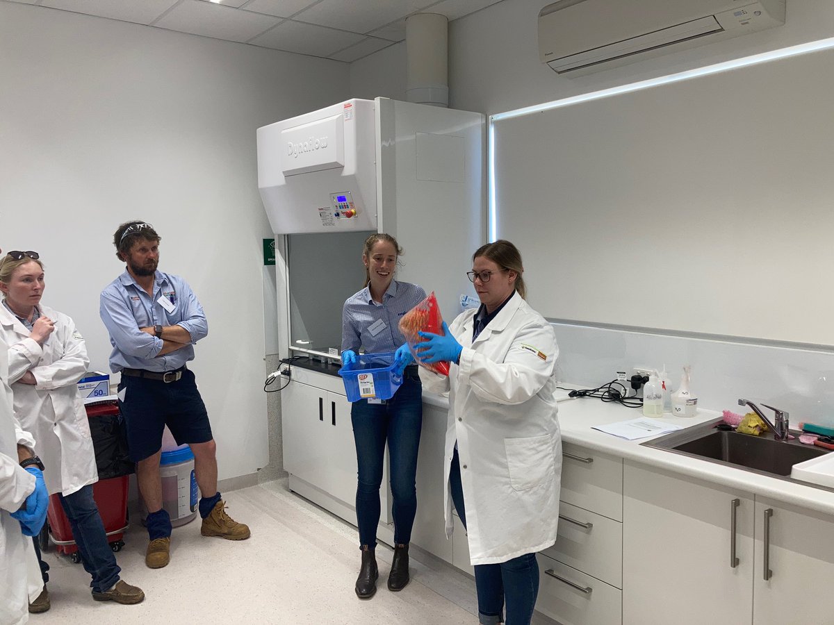 agnvet's tweet photo. Growing a successful crop starts with the seed!
A visit to the Syngenta Seedcare Institute saw the agronomy team learn what it takes for successful seed protection.
Which canola seed looks the best to you?

#AGnVET #ikcaldwell #cropwalkwednesday https://t.co/gVhwxrLnI9