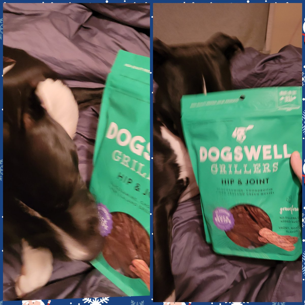 Gapinkzebra's tweet photo. PETSMART: DOGSWELL® Hip &amp; Joint Jerky Dog Treat - Chicken, Grain Free
All meat jerky. Dogs seem to enjoy this flavor better over the turkey and cranberry one. Texture was alot better as well. Easier to break apart
https://t.co/wnkA8Xkxfe https://t.co/bY8UxcREwe