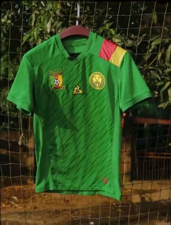 CMD002021's tweet photo. Le nouveau maillot des lions pour la CAN 2021

#cameroun #allezleslions https://t.co/5akXFONLd1