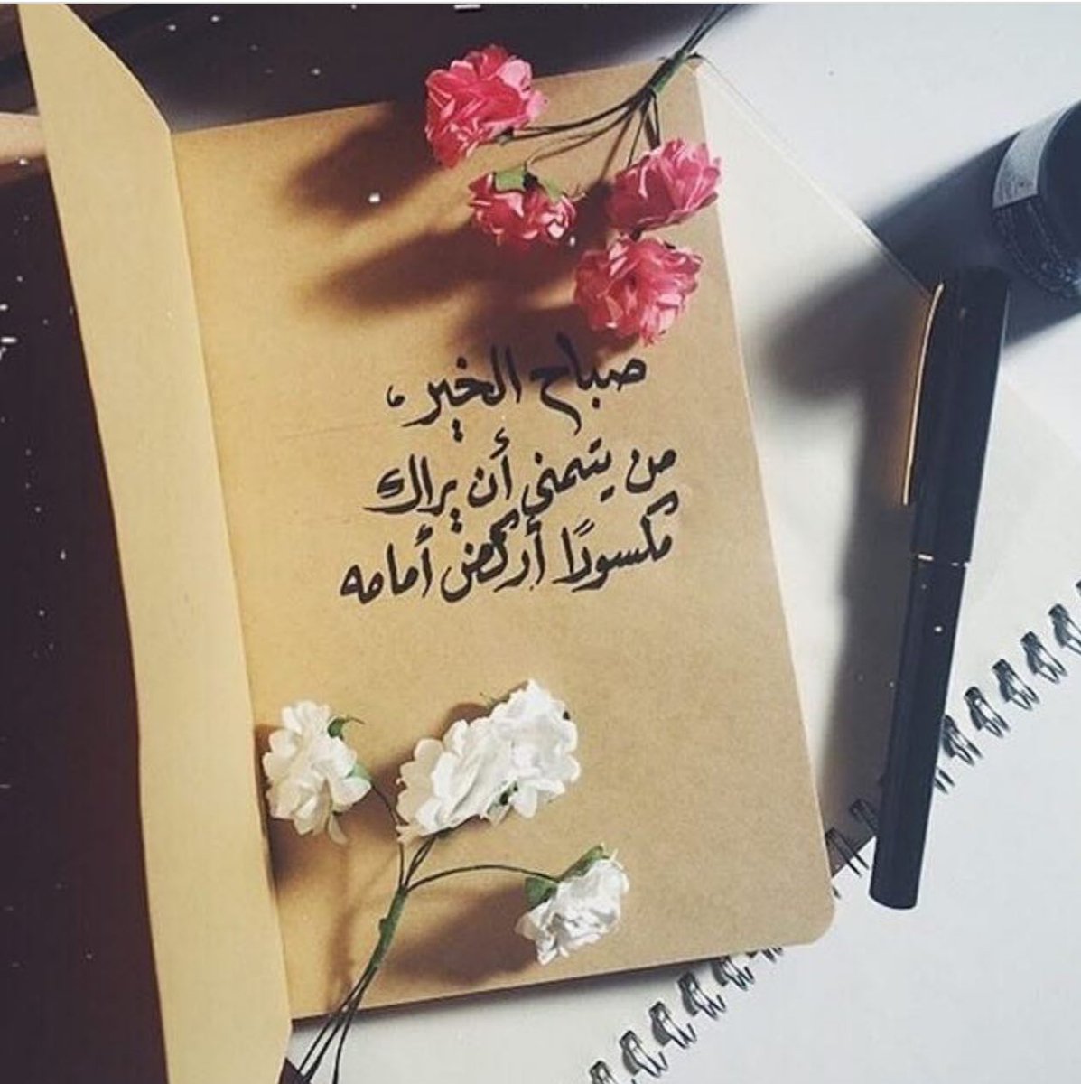MS__546's tweet photo. الله يصبح   كل زوايا ديرتك بالخير
   ويسعد صباح  سكانها   #لأجل #عيناك ❤️❤️ https://t.co/3gWedujZck