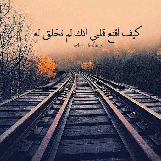 MS__546's tweet photo. عفى الله عـن قلب تولع مع البـدوان
 غدت به طواريق الهوى وأنكشف سده❤️❤️ https://t.co/V44OFSqv8Z