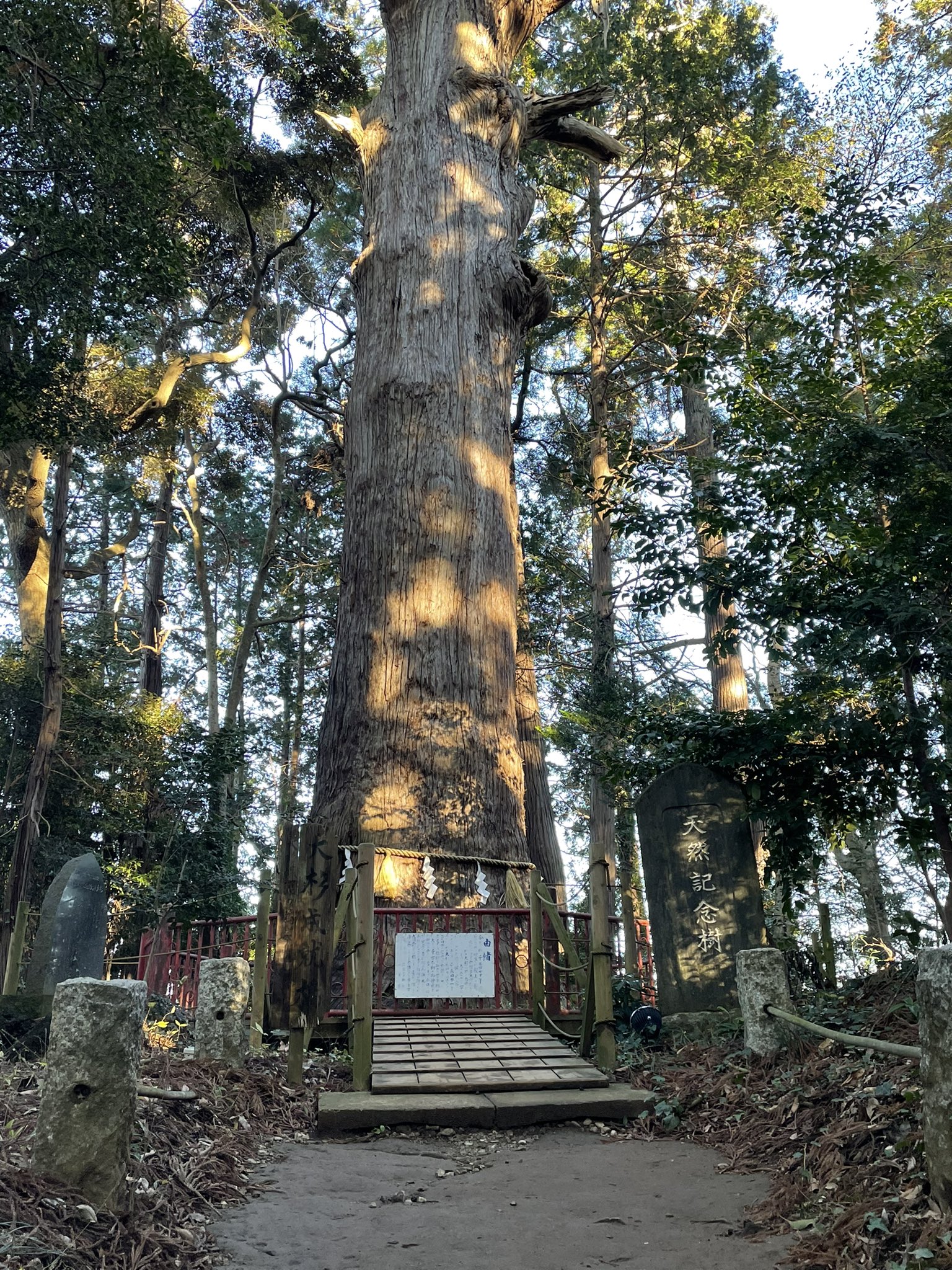 麻賀多神社 Twitter Search Twitter