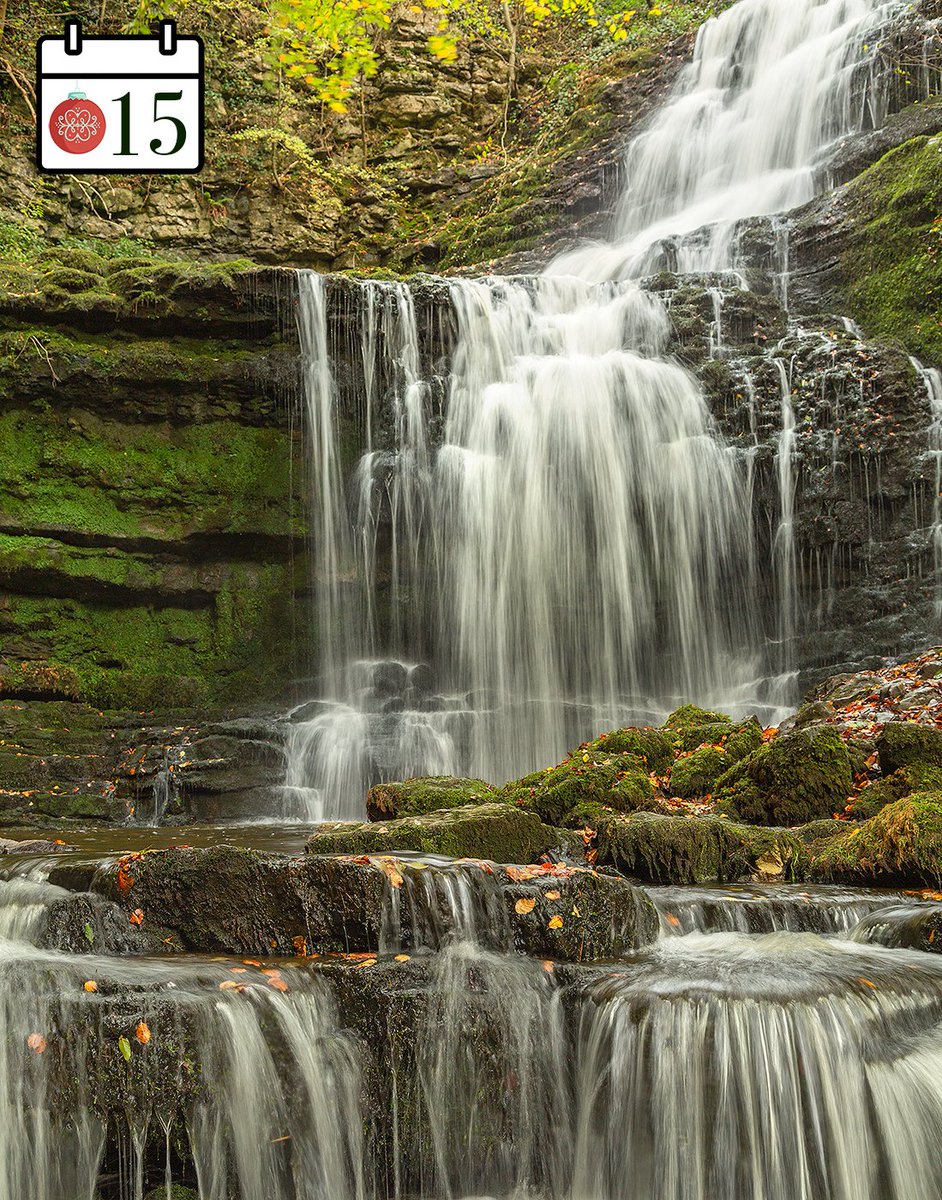yorkshire_dales's tweet photo. We're revealing your favourite #YorkshireDales locations here every day with our #Christmas2021 #VirtualAdvent calendar π
We asked you which waterfalls you'd like to see and Scaleber Foss near Settle was a popular choice!
Happy #WaterfallWednesday π¦
πΈ Wendy McDonnell https://t.co/DWtIMSoyIj