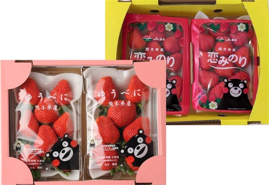 FGoIc2TUcAACRg9?format=webp&