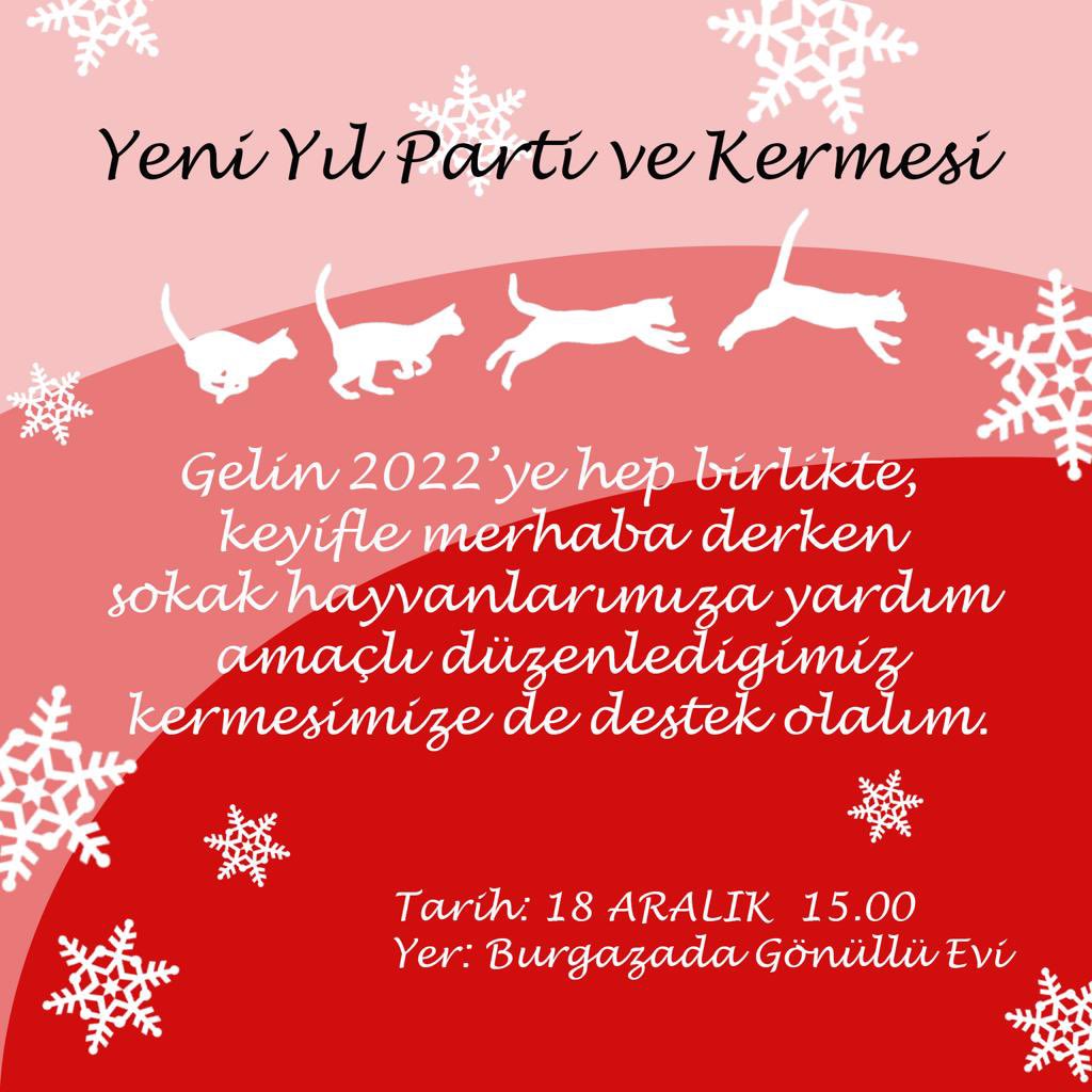 Burgazada'da sokak hayvanları her zaman destek bulur #burgazada #burgazadamahallemeclisi #adalıdörtayaklıdostlarımız #burgazadakermes #hayvanlarıkoruyalım
