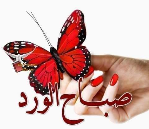 TotaZayd's tweet photo. https://t.co/7hQEaL9CR8