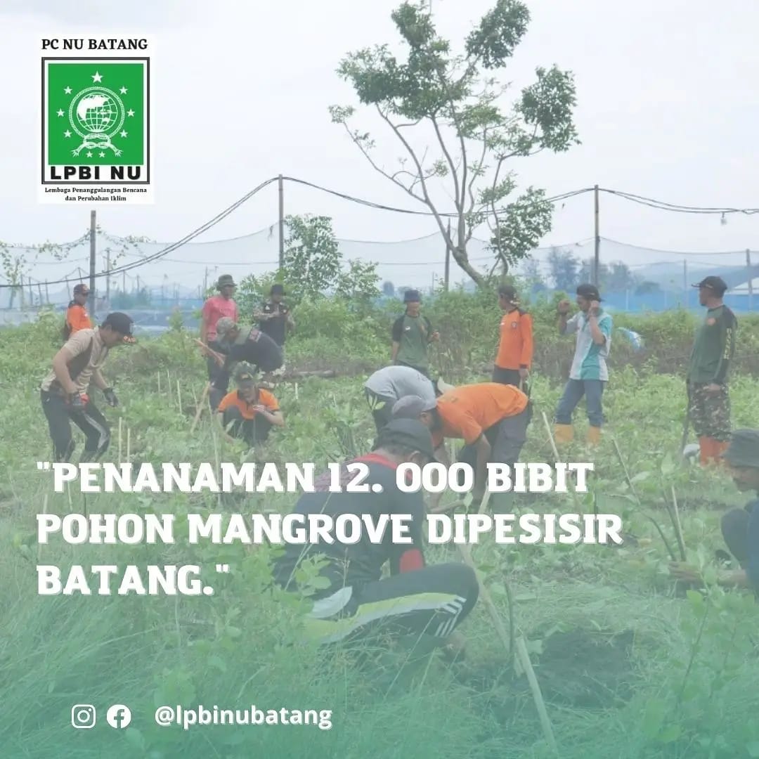 lpbi_pcnubatang's tweet photo. LPBI NU Batang melakukan penanaman 12.000 bibit mangrove di wilayah pesisir pantai  Kabupaten Batang, Penanaman mangrove untuk melindungi garis pantai dari abrasi atau pengikisan, serta memulihkan ekosistem diwilayah pesisir Batang. https://t.co/jEfFnhwsuf