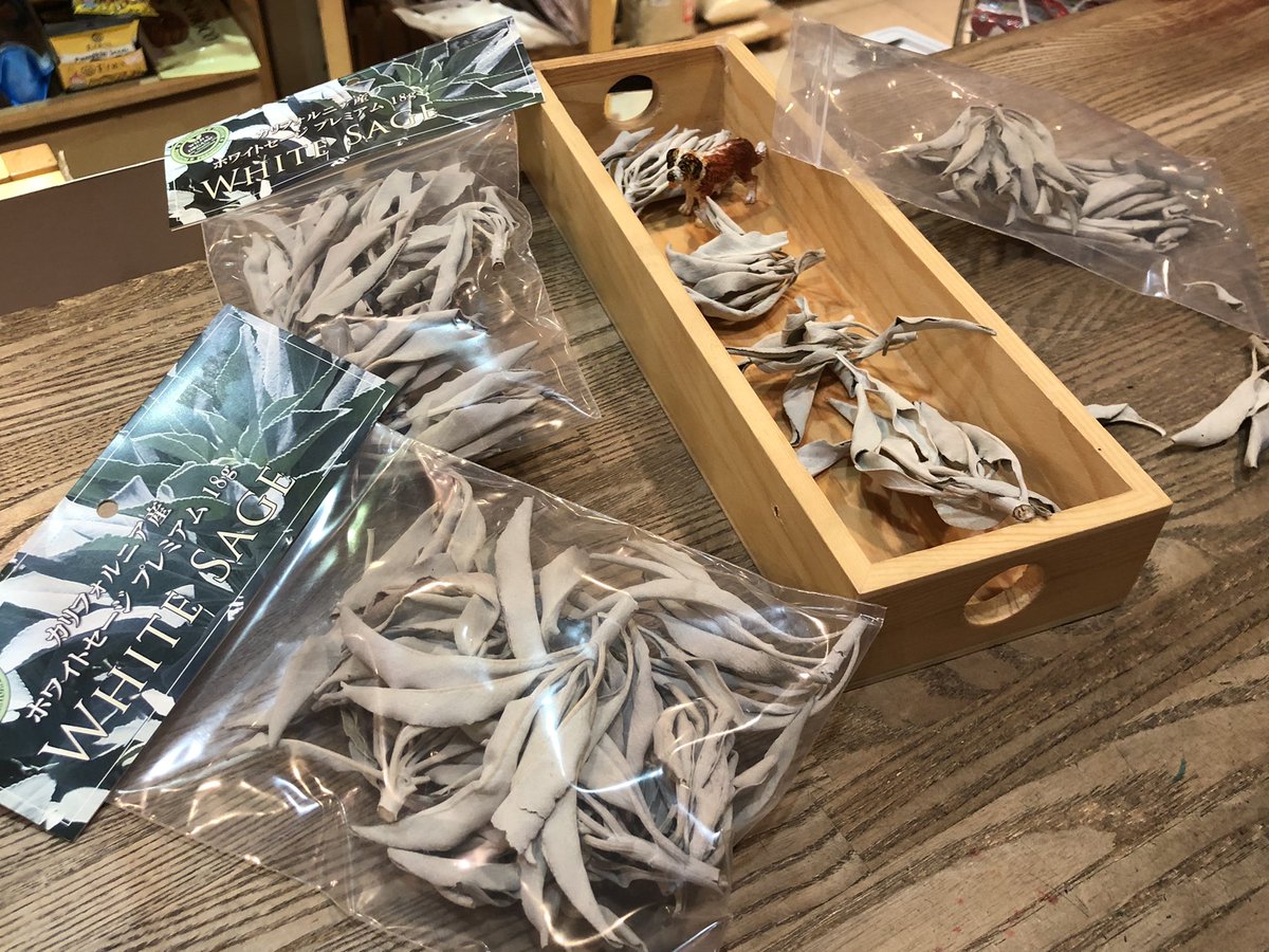 セージは抗菌作用があり風邪予防やイライラ減少に。そしてホワイトセージは浄化のハーブ。ルームスプレーにしたり、そのまま火をつけてすぐに消せば、出た煙がお部屋に広がりなんとも清々しい気持ちに。
#オーガニックいろは #せ #OrganicWhiteSage #オーガニックホワイトセージ
#セントバーナード