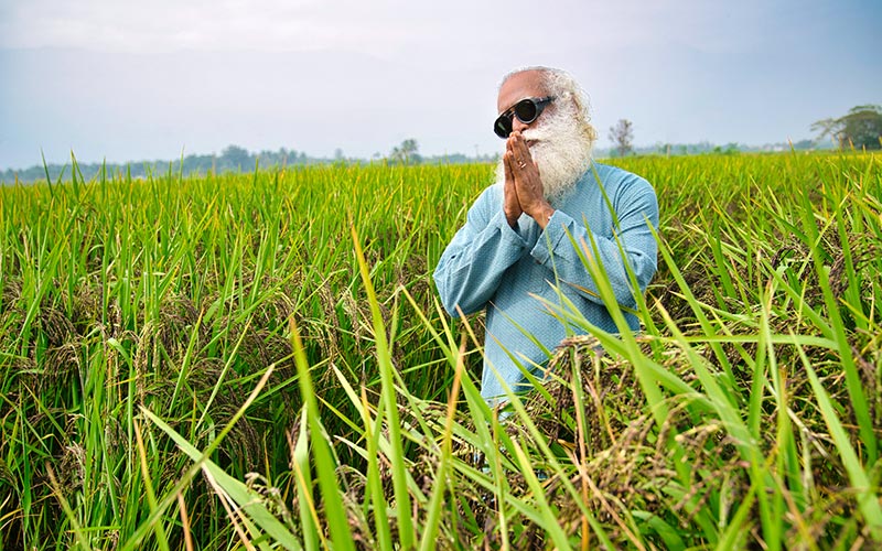 SadhguruJV's tweet photo. Agriculture can only thrive on rich soil – there is simply no other way. Regeneration of Soil is Invigoration of Life. #SadhguruQuotes #SaveSoil https://t.co/PrHb5H2WXy https://t.co/Rvai9vuKTg